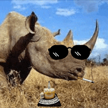 a rhino wearing sunglasses is smoking a cigarette next to a birthday cake