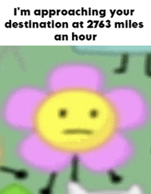 a cartoon flower with a smiley face on it and the words `` i 'm approaching your destination at 2764 miles an hour ''