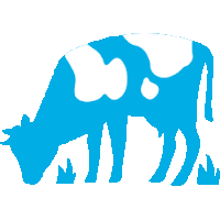 a blue silhouette of a cow grazing on grass on a white background