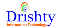 a logo for drishty information technology with a flag on it