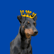 a black and brown dog wearing a yellow crown