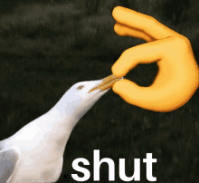 a seagull is being fed by a yellow hand that says shut on the bottom