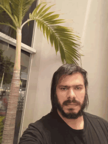 a man with long hair and a beard is standing in front of a palm tree