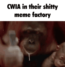 a monkey is holding a gun and says cwia in their shitty meme factory