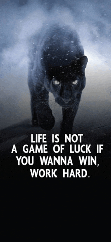 a black panther is walking in the snow with a quote that says life is not a game of luck if you wanna win work hard