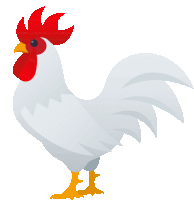 a white rooster with a red comb and yellow feet