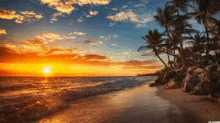 a sunset over a tropical beach with palm trees