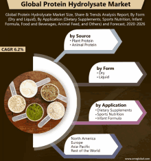 a poster showing the global protein hydrolysate market size