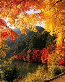 a lake in the middle of a forest with trees changing colors