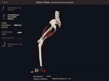 a screen shows a skeleton and muscles and says motion mode