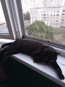 a black cat laying on a window sill with a view of a city