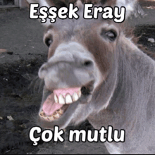 a donkey with its mouth open and the words " essek eray " written above it