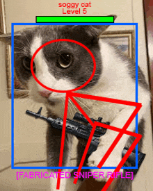 a picture of a cat with a sniper rifle and the words soggy cat level 5 on it