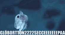 a picture of a fish with the text globortton222secceeeeepaa