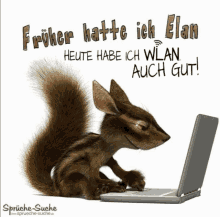 a squirrel is sitting in front of a laptop with the words früher hatte ich elan