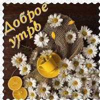 a greeting card with daisies and a cup of coffee