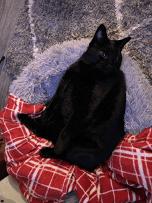 a black cat is laying on a plaid blanket on a bed