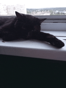 a black cat laying on a window sill with a city in the background