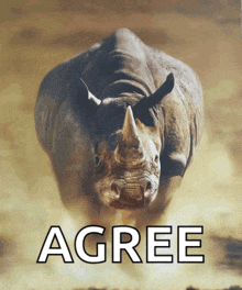 a picture of a rhino with the word agree under it