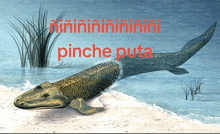 a painting of a fish with the words pinche puta written in red