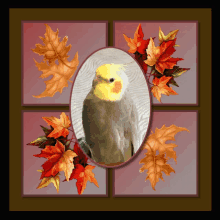 a picture of a bird in a frame with leaves around it