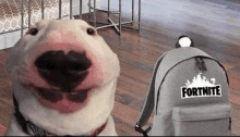 a bull terrier is standing next to a backpack that says fortnite on it .