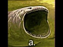 a picture of a snake with its mouth open and the letters a on the bottom