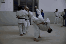 a group of people are practicing judo in a gym and one man is being lifted in the air