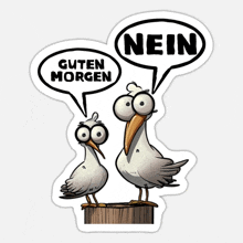 two seagulls are standing next to each other with speech bubbles saying guten morgen and nein