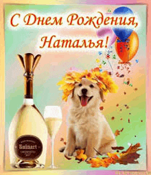 a dog is sitting next to a bottle of champagne and a glass of champagne .