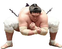 a sumo wrestler is kneeling down with his fist up