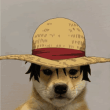 a dog wearing a straw hat with a red ribbon on it