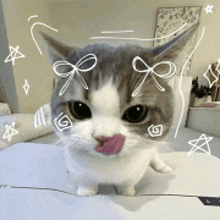 a gray and white cat with a pink tongue sticking out