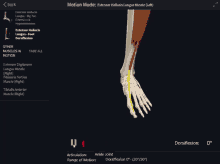 a screenshot of a computer screen showing the motion mode