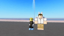 two roblox characters standing next to each other on a beach