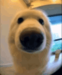 a stuffed polar bear is looking at the camera with its mouth open .