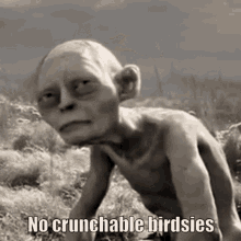 gollum from the lord of the rings is crawling in the grass with the words `` no crunchable birdsies '' .