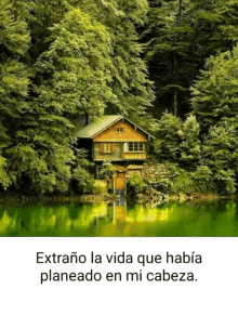 a cabin in the middle of a forest near a lake