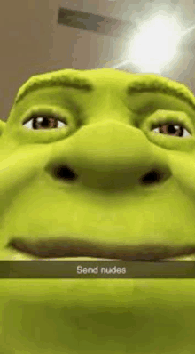 a close up of shrek 's face with the words `` send nudes '' on it .