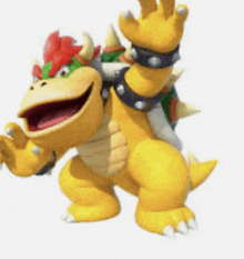 bowser is a cartoon character from the video game super mario bros .