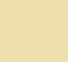 a close up of a light yellow background with a plain texture .