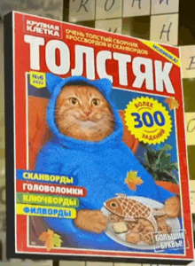 a cat is on the cover of a russian book