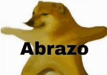 a dog is standing with its arms outstretched and the word abrazo on it .