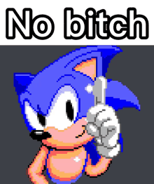 a pixel art of sonic the hedgehog with the words no bitch behind him