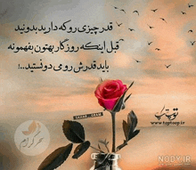 a red rose in a vase with a quote in a foreign language .