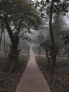 a brick walkway in a foggy forest with trees on both sides