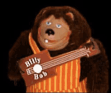 a stuffed animal bear is holding a guitar that says billy bob