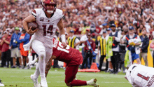 a football player with the number 14 on his jersey is running with the ball