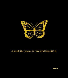 a yellow butterfly is on a black background with a quote .