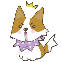 a brown and white dog wearing a purple scarf and a crown with the name maroo on it